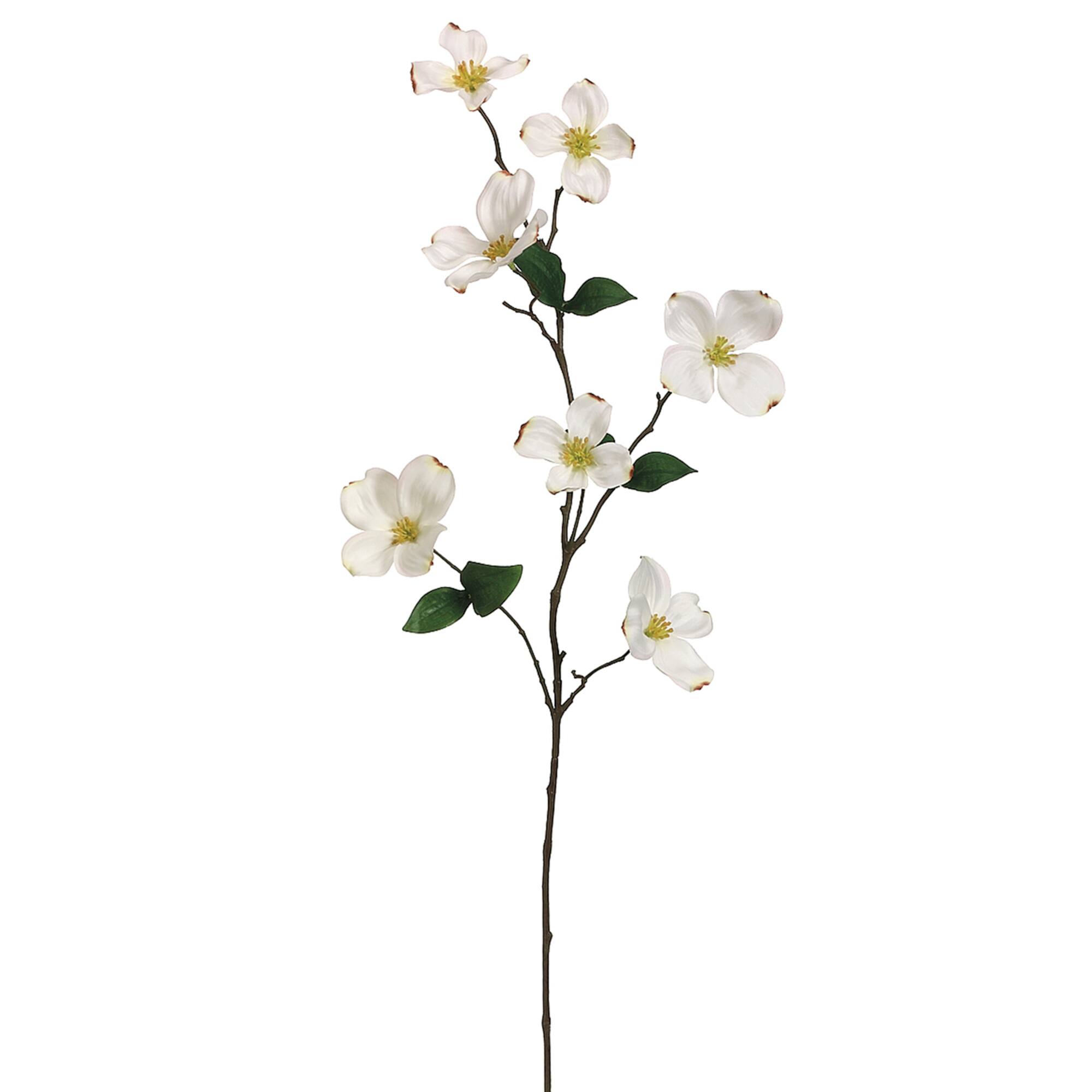 29" Dogwood Stem, Cream
